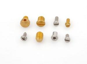 Brass Screw