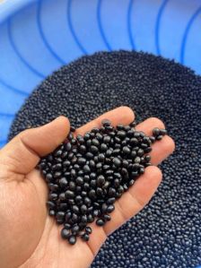 Black Soybean