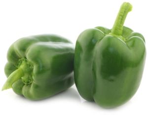 Capsicum