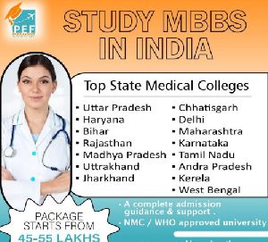 NEET Consultants for Indian Students