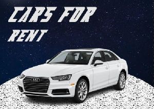 Wedding car rental