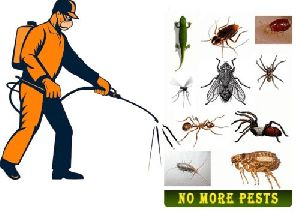 KIRUPA PEST CONTROL SERVICE-GOOD SERVICE IN CHENNAI TAMILNADU