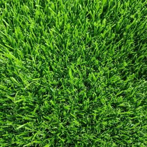 Artificial Grass