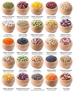 Pulses