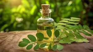 Organic Moringa Oil