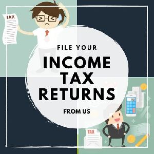 Income Tax Consultant