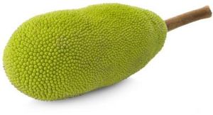 Jack Fruit