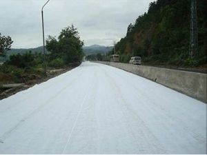 Non Woven Polyester Geotextile Felt Fabric