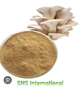 Mushroom Powder