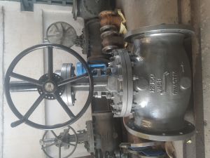 Cast Steel Globe Valve