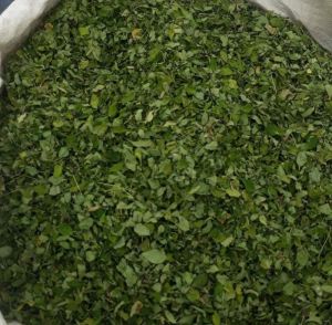 Organic Moringa dried Leaves