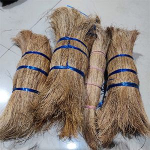 Bristle Fiber