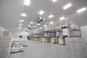 Cold Storage