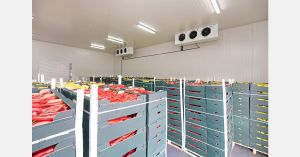 Cold Storage
