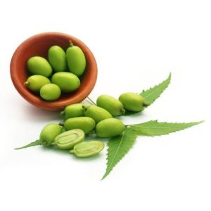 Neem Fruit