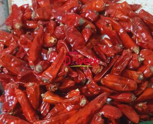 Red Bullet Chilli