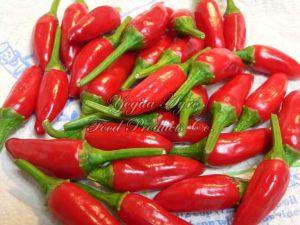 Red Bullet Chilli