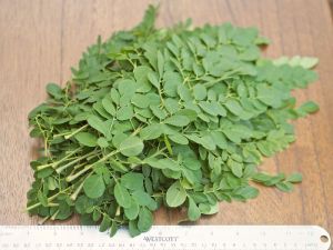 Natural Moringa Dry Leaves