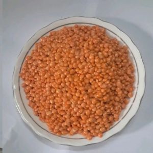 Polished Masoor Dal