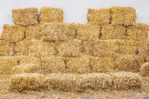 Paddy Straw Bales