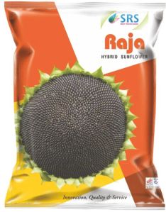 Raja-333 Hybrid Sunflower Seeds