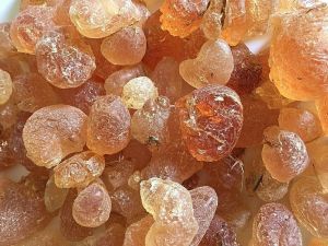 Gum Arabic