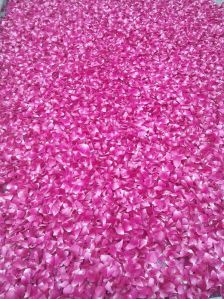 Dry Rose Petals