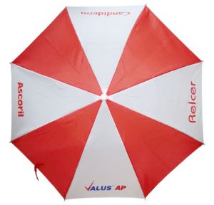 21 Inch Two Fold Umbrella