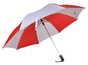 27 Inch Two Fold Umbrella