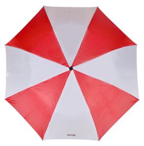 27 Inch Two Fold Umbrella