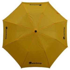 27 Inch Two Fold Umbrella