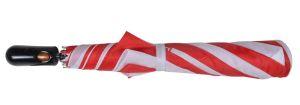 27 Inch Two Fold Umbrella