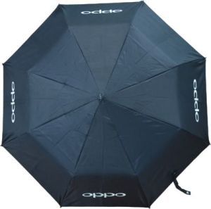 21 Inch Two Fold Umbrella