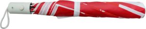 21 Inch Two Fold Umbrella