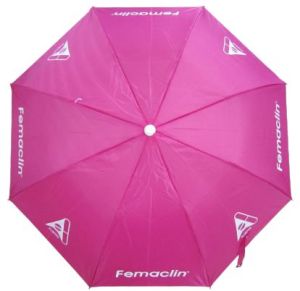 24.5 Inch Two Fold Umbrella