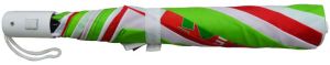 24.5 Inch Two Fold Umbrella