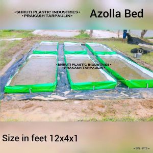 Azolla Cultivation Bed