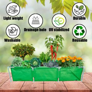 Vegetable Vermi Beds
