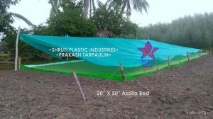 Eco Friendly Azolla Bed