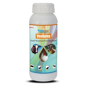 Vitamin B Complex Liquid Supplement for Cattle