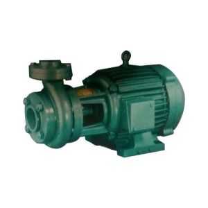 Agricultural Monoblock Pump