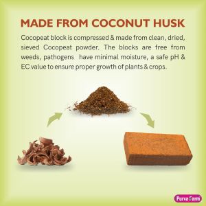 cocopeat blocks