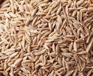 white cumin seeds