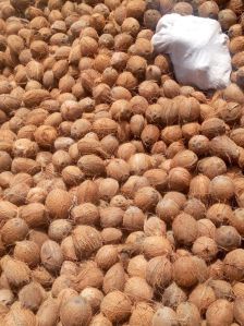 Organic Coconuts