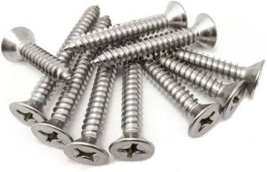 Stainless Steel Screws