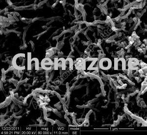 Functionalized Short MWCNT-Multi Walled Carbon Nanotubes