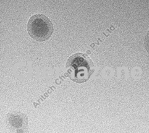 Gold Iron Oxide Core Shell Nanoparticles