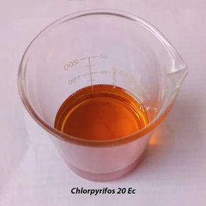 Chlorpyrifos 20 % EC