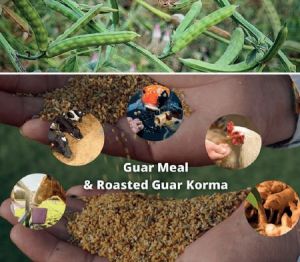 Guar Korma for Cattle Feed