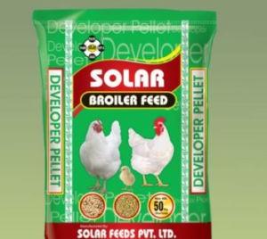 Layer Chicken Feed